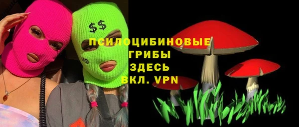 первитин Ельня