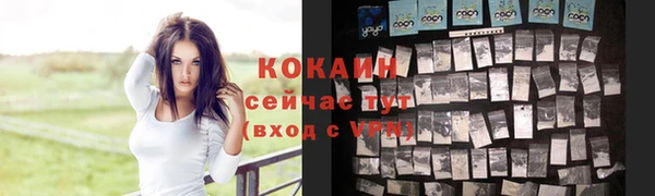 первитин Ельня