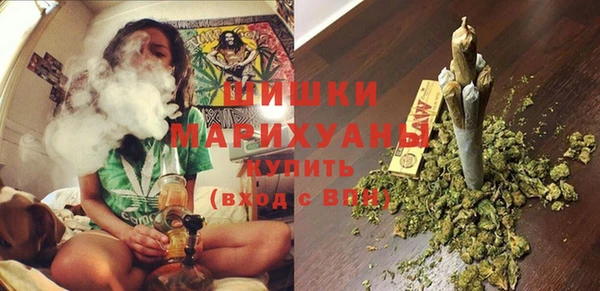 первитин Ельня