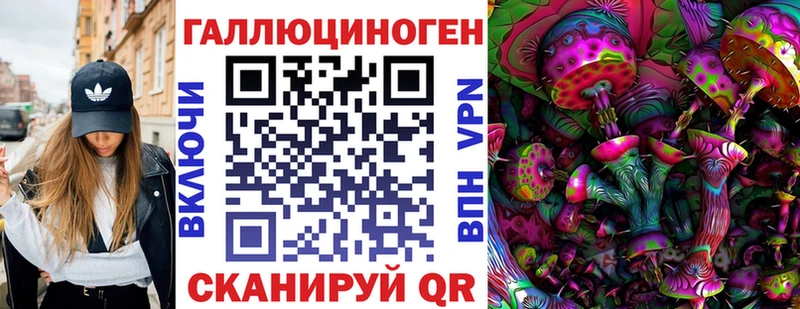shop официальный сайт  OMG как войти  Новый Уренгой  Псилоцибиновые грибы Psilocybe 